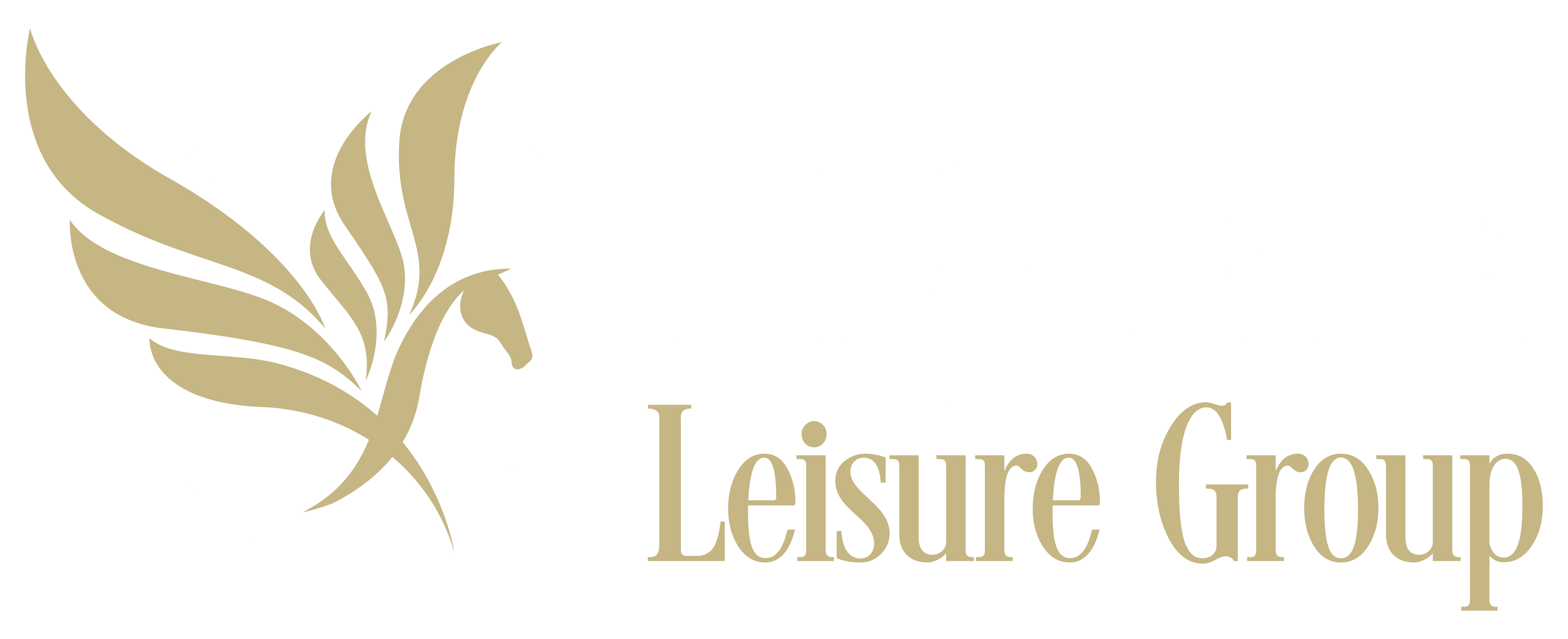 Pegasus Leisure Group